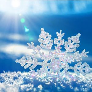 Meet your Posher, Joy